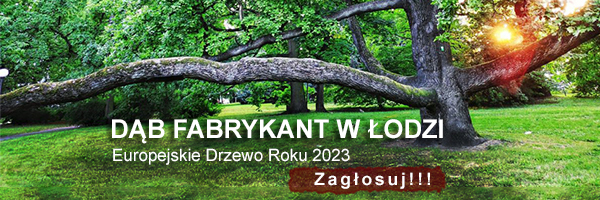 Konkurs Drzewo Roku